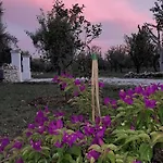 Дом отдыха Trullo Zurlo