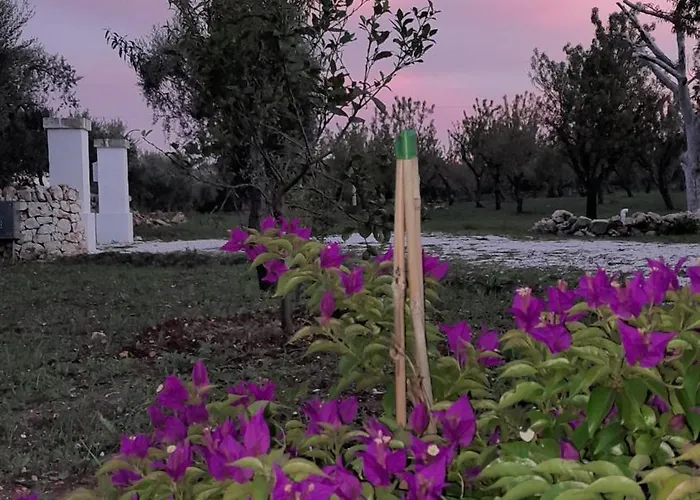 Holiday home Trullo Zurlo