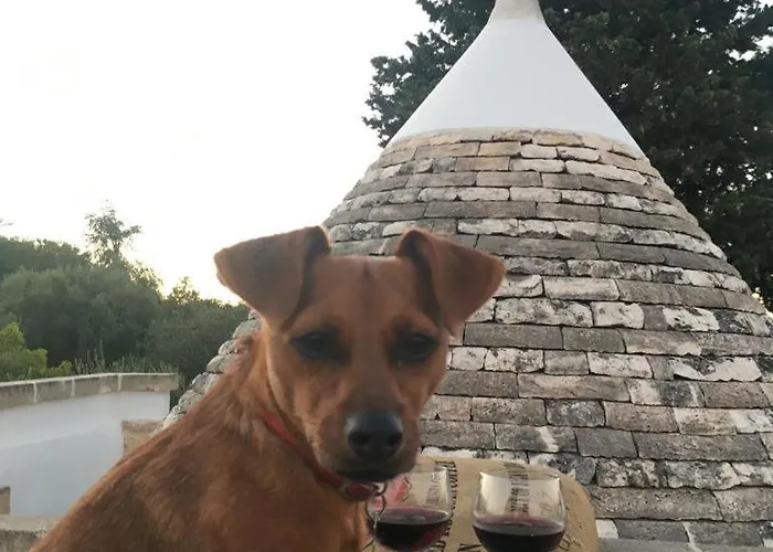 Trullo Zurlo Holiday home *
