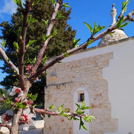 Trullo Zurlo Ostuni