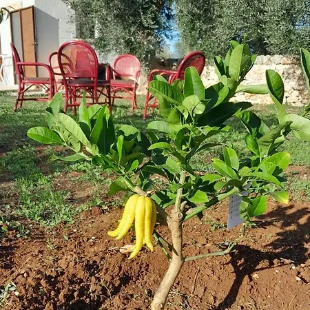 Ferienhaus Trullo Zurlo *
