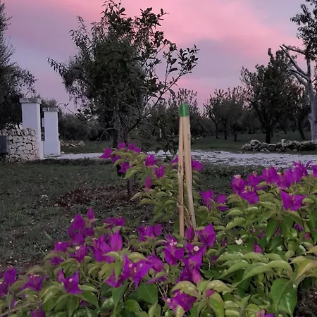 Holiday home Trullo Zurlo