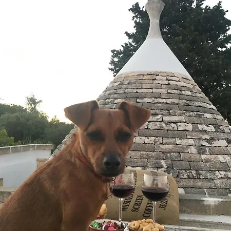 Trullo Zurlo Ferienhaus *